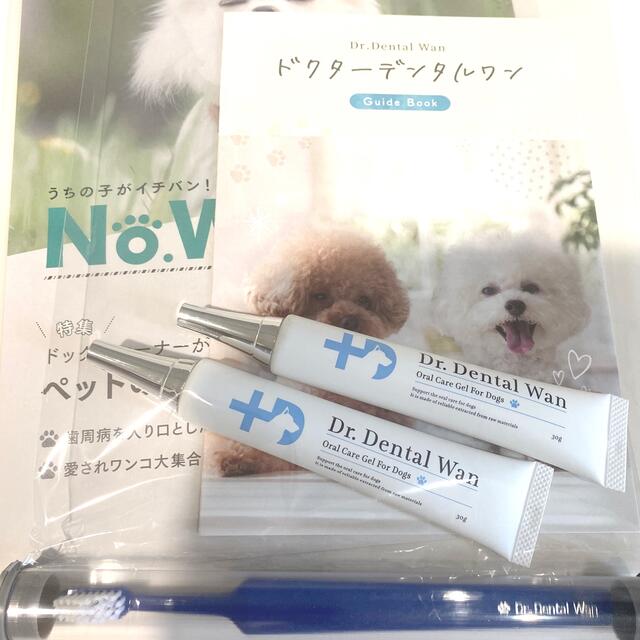 ファッションなデザイン ドクターデンタルワン 30g×4本 tco.it