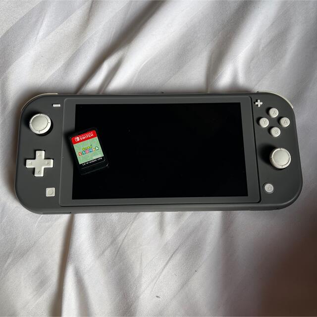 【Nintendo switch light】