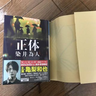 正体　染井為人(文学/小説)