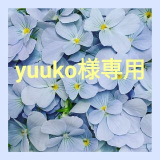 yuuko様専用(その他)