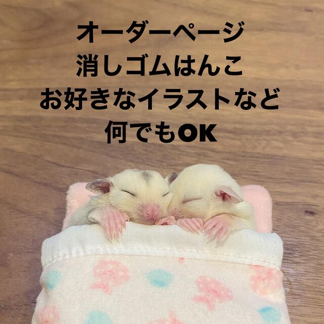 柔らかい オーダーページ 消しゴムはんこ はんこ - genux.dk