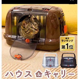 現品限り‼️ペットキャリーバッグ 犬キャリーバッグ 猫キャリーバッグ ペット用品