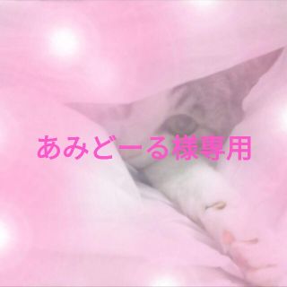 ♡あみどーる様専用♡(人形)