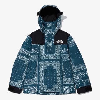 ノースフェイス(THE NORTH FACE) ペイズリー マウンテンパーカー ...