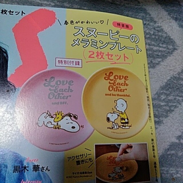 SNOOPY(スヌーピー)のESSE増刊 特装版スヌーピー皿 ２枚 エンタメ/ホビーの雑誌(生活/健康)の商品写真