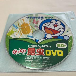 ショウガクカン(小学館)の☆  小学館の図鑑　NEO DVD 昆虫  80分　☆(キッズ/ファミリー)