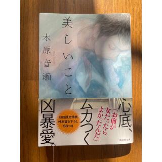 【文庫本】美しいこと(文学/小説)