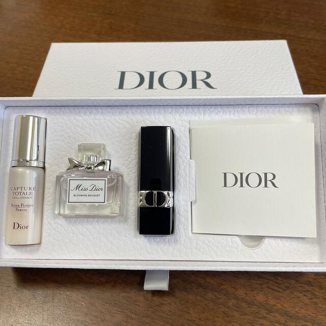 Dior(ディオール)のDior ノベルティ エンタメ/ホビーのコレクション(ノベルティグッズ)の商品写真