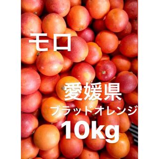 愛媛県産　ブラッドオレンジ　モロ　柑橘　10kg(フルーツ)