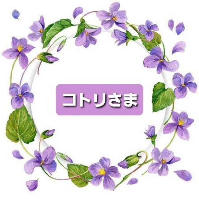 コトリさま 専用 llumarsaudi.com