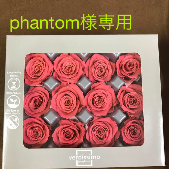phantom様専用verdissimoペティートのフランボワーズと他 小物など