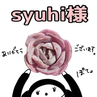 「syuhi様専用」(その他)