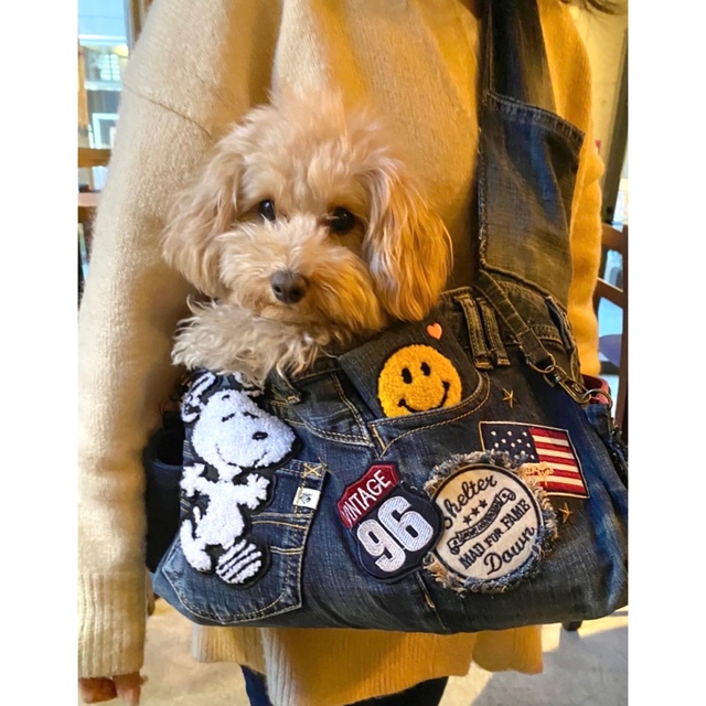 スヌーピー  ドッグスリング　ファスナーピンク　お散歩バッグ付き その他のペット用品(犬)の商品写真