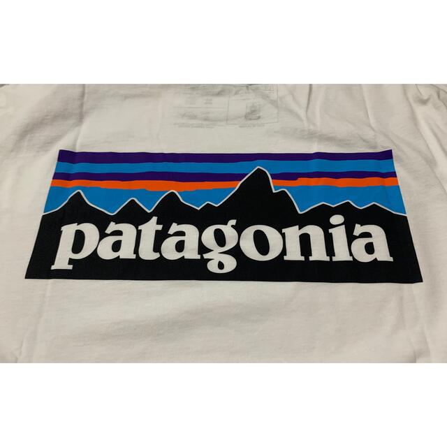 patagonia(パタゴニア)のPatagonia Tシャツ メンズのトップス(Tシャツ/カットソー(半袖/袖なし))の商品写真