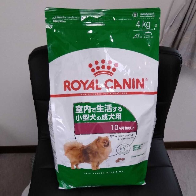 2020年のクリスマス ロイヤルカナンミニインドアアダルト4kg×4 - ペットフード - www.qiraatafrican.com 2020年のクリスマス ロイヤルカナンミニインドアアダルト4kg×4 - ペットフード - www.qiraatafrican.com