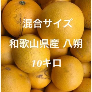 ★和歌山県産 混合 八朔 はっさく S〜3Lサイズ 10キロ 家庭用(フルーツ)