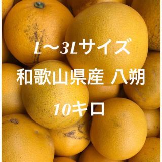 ★和歌山県産 大玉 八朔 はっさく L〜3Lサイズ 10キロ 家庭用(フルーツ)