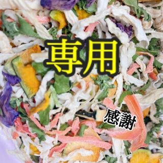 ほにょP様専用です。(野菜)