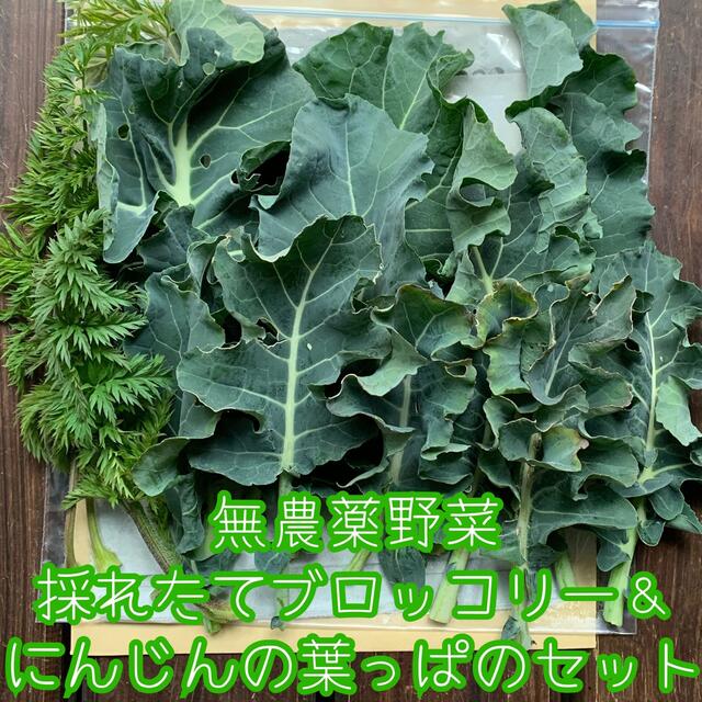 無農薬野菜＊採れたてブロッコリー＆にんじんの葉っぱのセット＊約150g＊ 食品/飲料/酒の食品(野菜)の商品写真