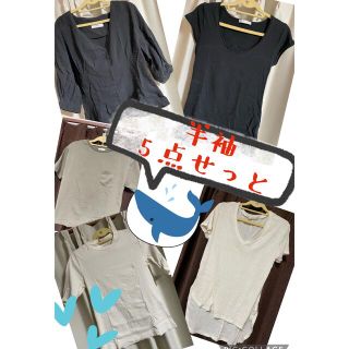 ザラ(ZARA)の半袖🌴５点せっと(Tシャツ(半袖/袖なし))