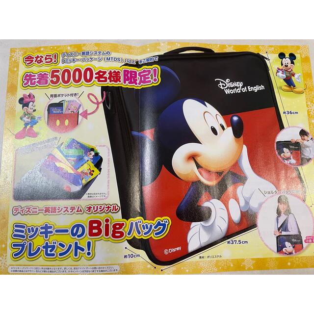 Disney(ディズニー)の【新品未開封】DWEミッキーBigバッグ、ミニーポーチ付き レディースのバッグ(ボストンバッグ)の商品写真