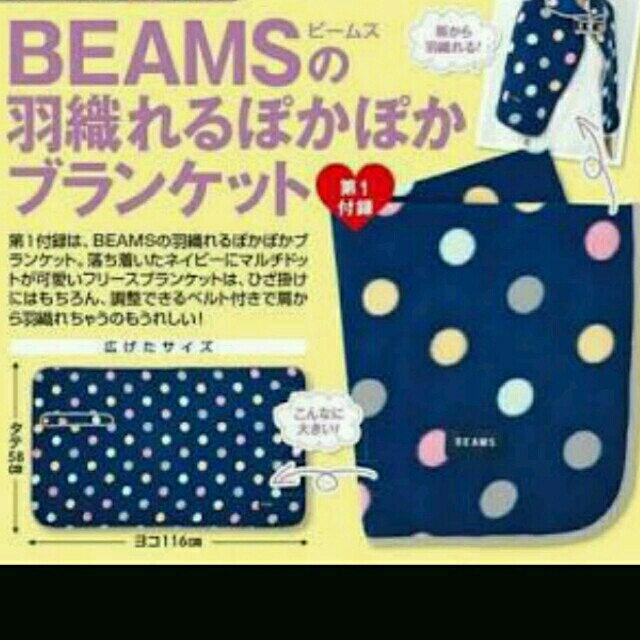 BEAMS(ビームス)のBEAMS♡羽織れるブランケット その他のその他(その他)の商品写真