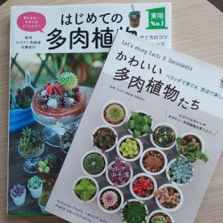 「はじめての多肉植物 」「かわいい多肉植物たち」二冊セット(趣味/スポーツ/実用)