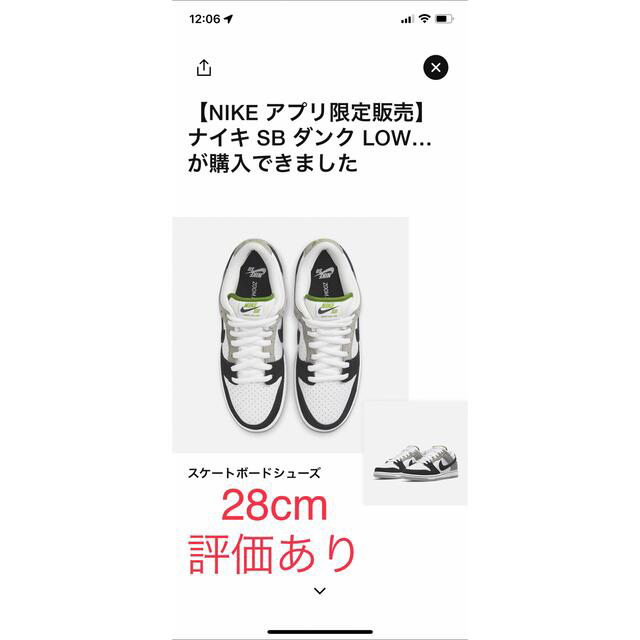 Nike SB Dunk Low Chlorophyll 28cm