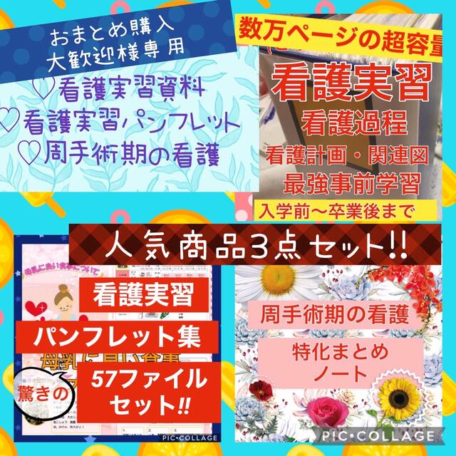 専用 看護実習 手順書 関連図 計画 パンフレット 急性期 周手術期 国家 ...