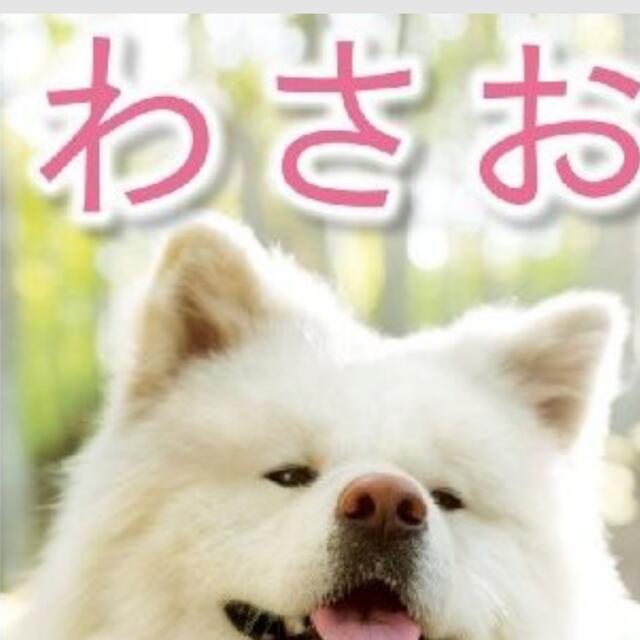 わさお