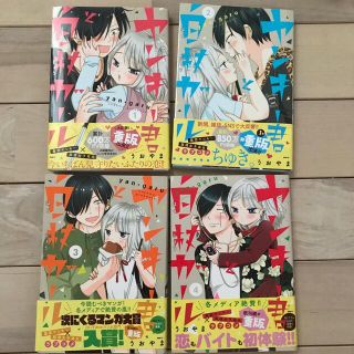 ヤンキー君と白杖ガール1〜4巻(青年漫画)