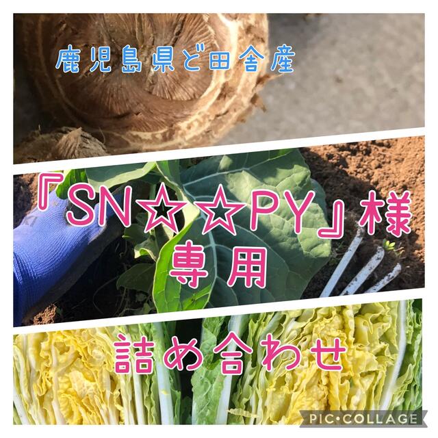 鹿児島県ど田舎産 『SN☆☆PY』様専用 詰め合わせ♪ 食品/飲料/酒の食品(野菜)の商品写真