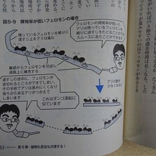 クルマの渋滞、アリの行列　技術評論社　知りたいサイエンス（値下げしました） エンタメ/ホビーの本(科学/技術)の商品写真