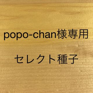 popo-chan様専用　セレクト種子　10袋(野菜)