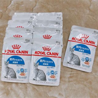 ロイヤルカナン(ROYAL CANIN)の猫 ロイヤルカナン インドア ウェット パウチ ローフ 85g×11袋(ペットフード)