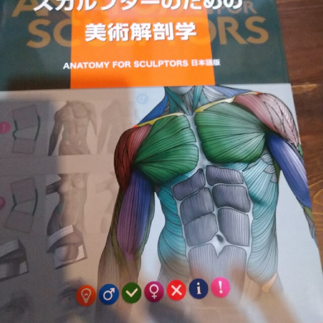 スカルプターのための美術解剖学 ＡＮＡＴＯＭＹ　ＦＯＲ　ＳＣＵＬＰＴＯＲＳ日本語 | フリマアプリ ラクマ