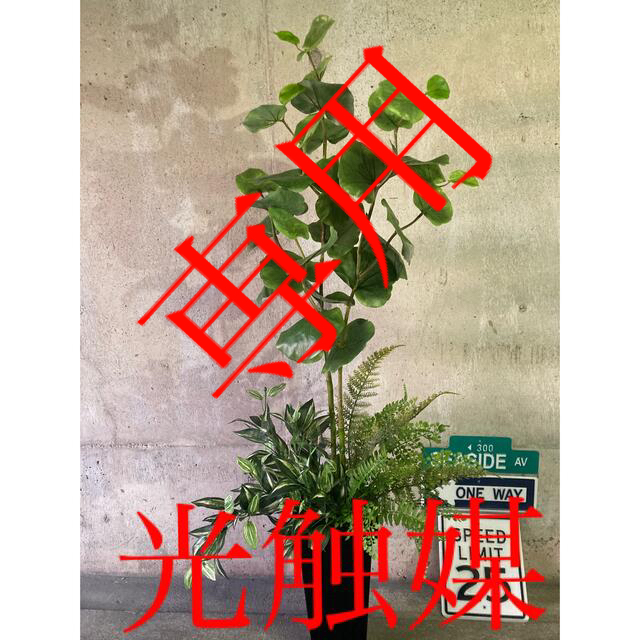 好評 光触媒 人工観葉植物 ウォールグリーン フェイク アレンジ シーグレープ特大 セールsale