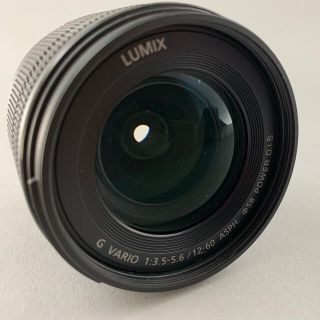 パナソニック(Panasonic)のLUMIX G VARIO 12-60mm F3.5-5.6 POWER OIS(レンズ(ズーム))