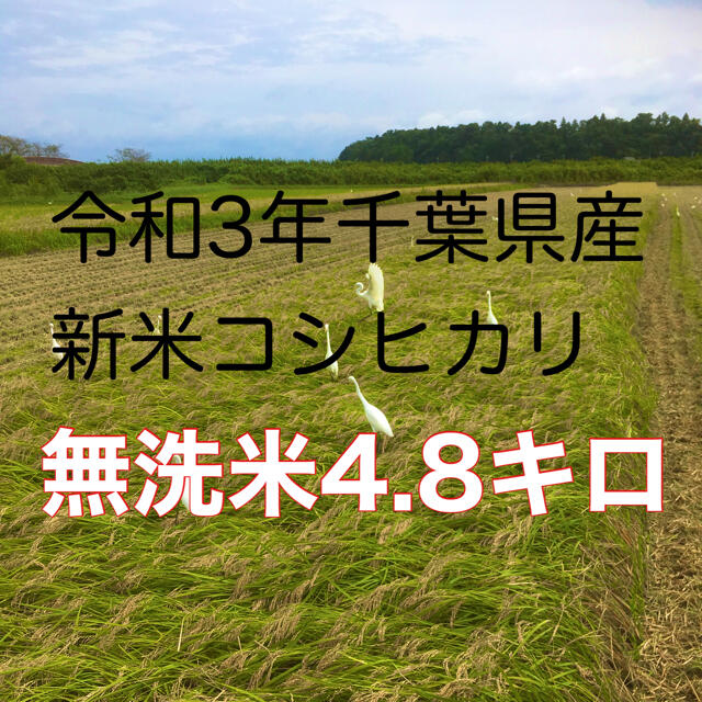 令和3年新米コシヒカリ無洗米4.8キロ 食品/飲料/酒の食品(米/穀物)の商品写真