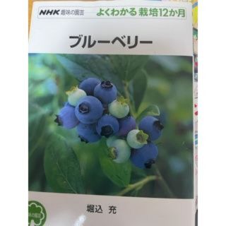 ブルーベリー　趣味の園芸(住まい/暮らし/子育て)