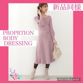 プロポーションボディドレッシング(PROPORTION BODY DRESSING)の【新品同様】プロポーションボディドレッシング　マトンスリーブニットワンピース(ロングワンピース/マキシワンピース)