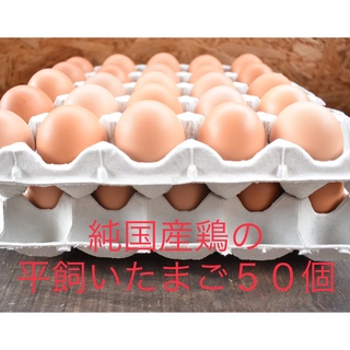 ラクマ限定特価　純国産鶏の平飼いたまご50個　　京都の卵　　非遺伝子組み換え飼料(その他)