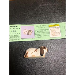 フルタセイカ(フルタ製菓)のチョコエッグ　ロップイヤーブラウン&ホワイト(その他)