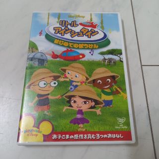 リトル・アインシュタイン　はじめてのぼうけん DVD(アニメ)