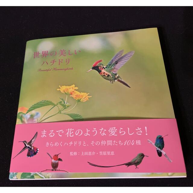 世界の美しいハチドリ エンタメ/ホビーの本(趣味/スポーツ/実用)の商品写真