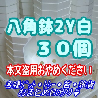 カネヤ《2Y》八角鉢 白 30個 プラ鉢 スリット鉢 多肉植物 プレステラ(プランター)