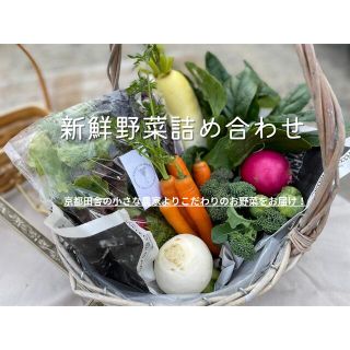 野菜詰め合わせ！京都の田舎の小さな農家よりお届け！(野菜)