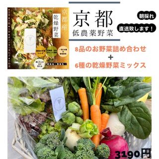 野菜詰め合わせ＋乾燥野菜セット！京都田舎の小さな農家よりお届け(野菜)