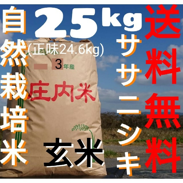 自然栽培 無農薬 氷温熟成 ササニシキ 玄米 25kg(正味24.6kg)令和3年産