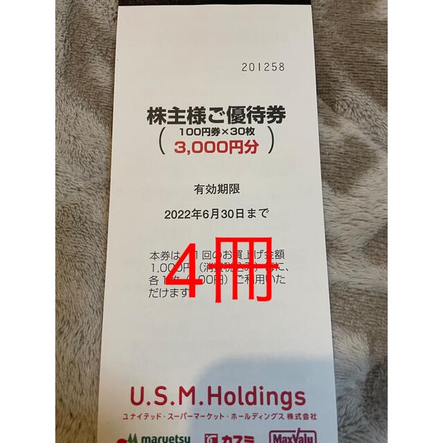 ユナイテッドスーパー　株主優待券　12000円分 チケットの優待券/割引券(ショッピング)の商品写真